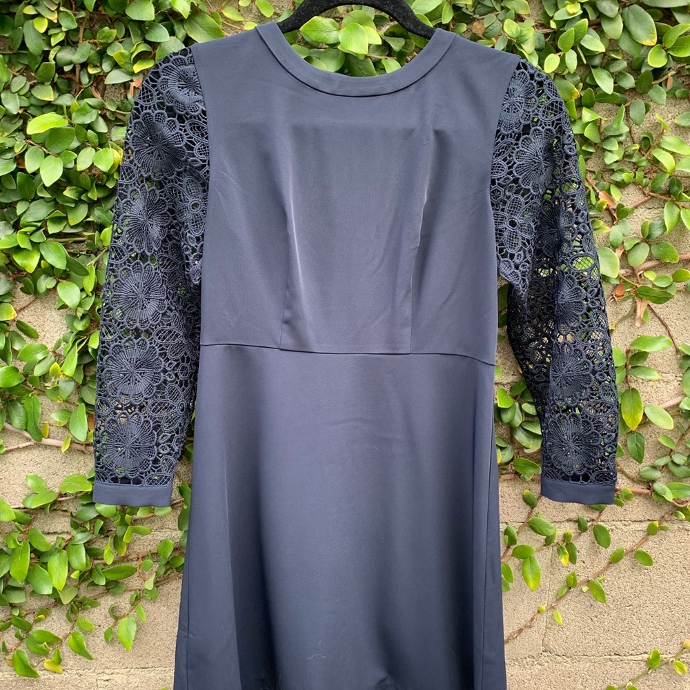 LOFT | 0P Lace Sleeve Dress